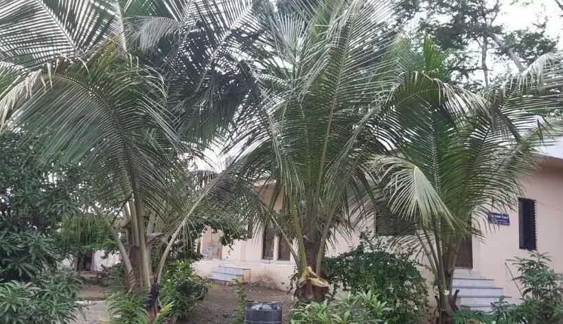 Majatalo Gurukurpa Bhakt Nivas