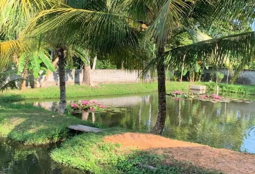 Majatalo Liontree Villa