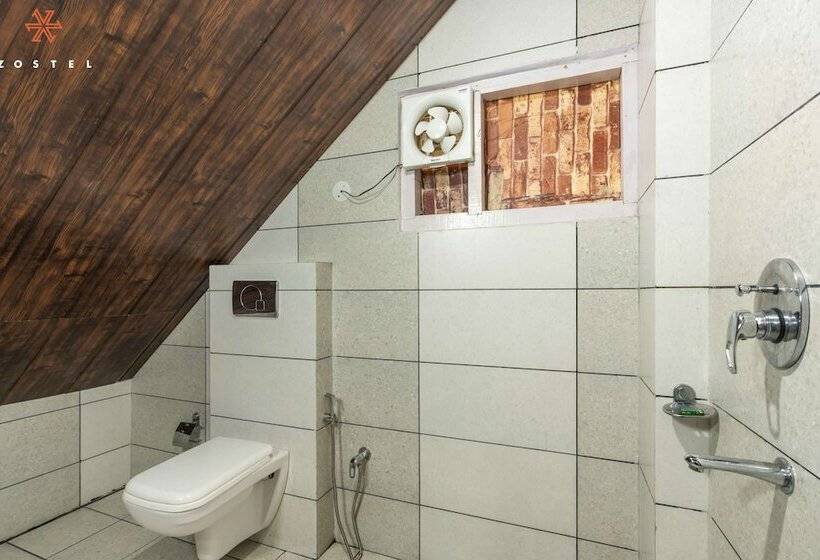 הוסטל Zostel Shoja, Jibhi