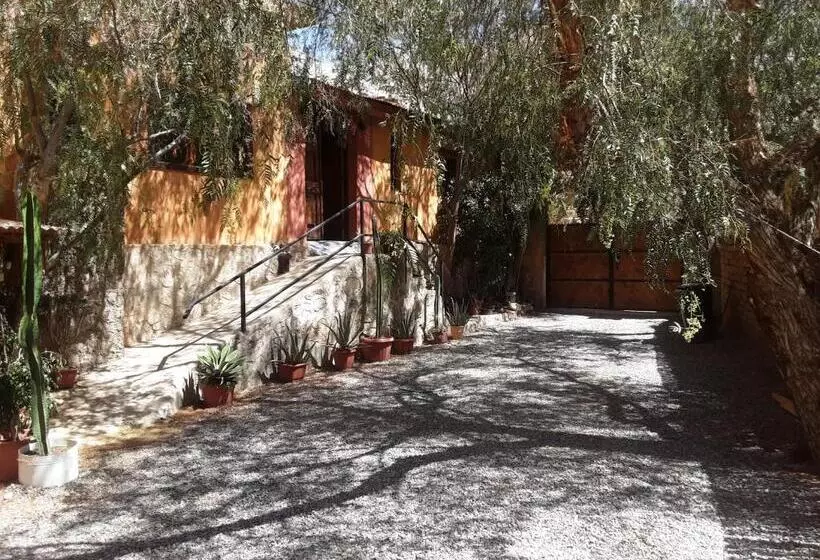 Aamiaismajoitus (B&B) Casa Gabriela, Monte Grande ,valle De Elqui
