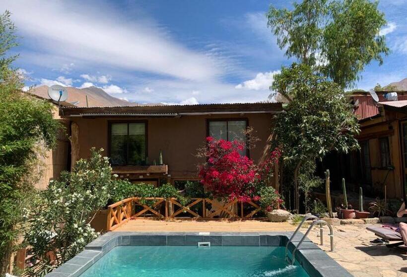 ベッドアンドブレックファースト Casa Gabriela, Monte Grande ,valle De Elqui