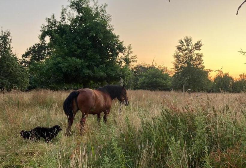住宿加早餐  La Prémoudiere