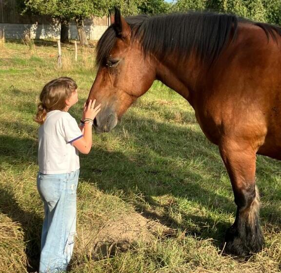 住宿加早餐  La Prémoudiere