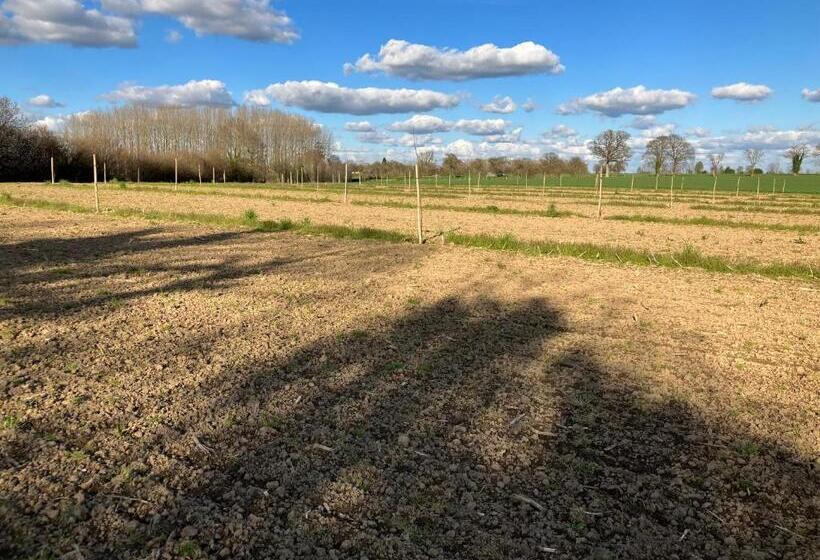 住宿加早餐  La Prémoudiere