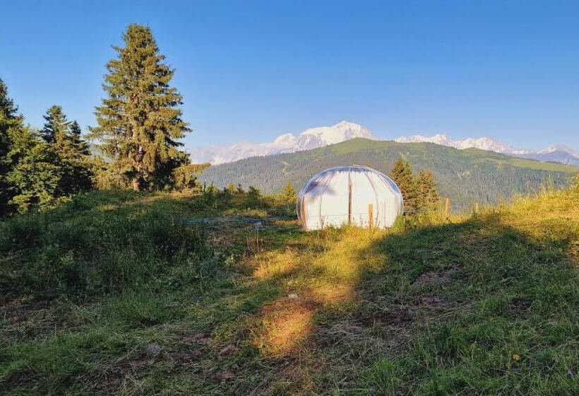 ベッドアンドブレックファースト La Tête Ailleurs