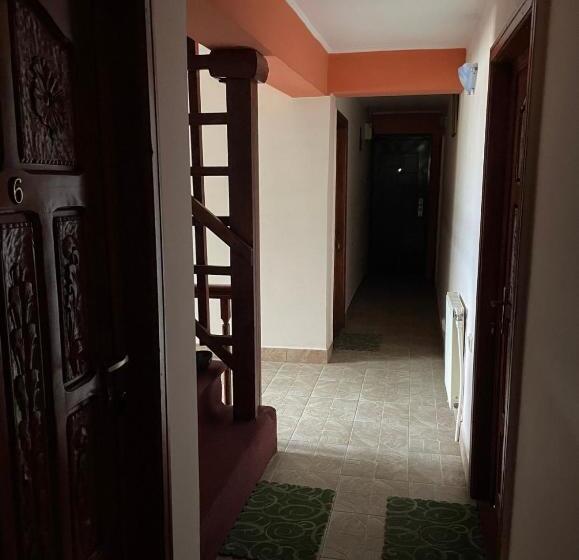 膳宿费 Vila Movilă