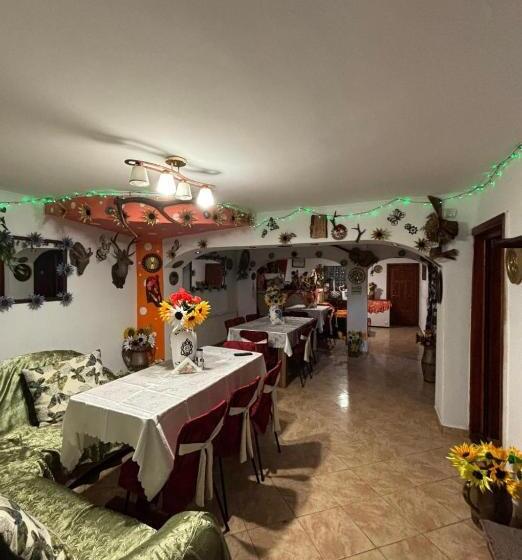 膳宿费 Vila Movilă