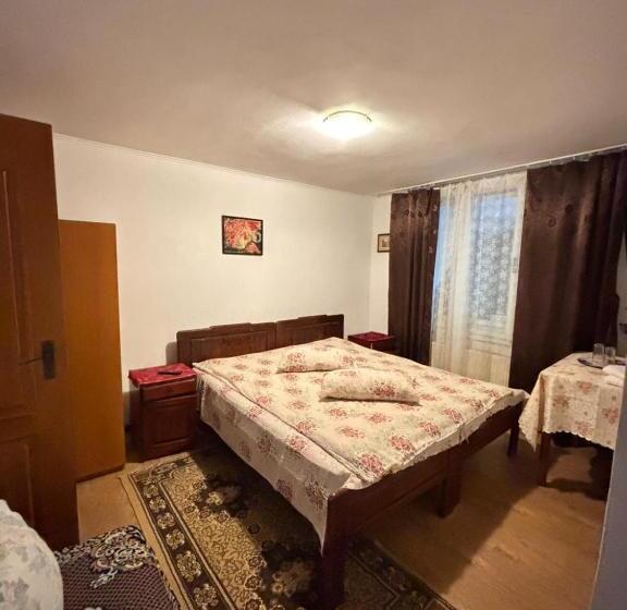 پانسیون Vila Movilă