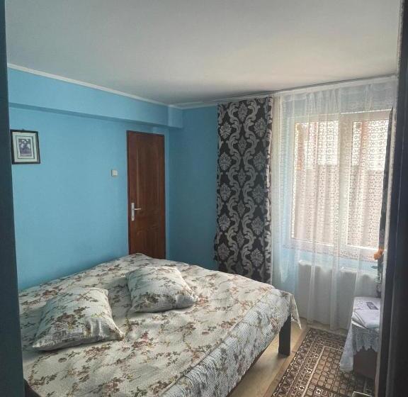 膳宿费 Vila Movilă