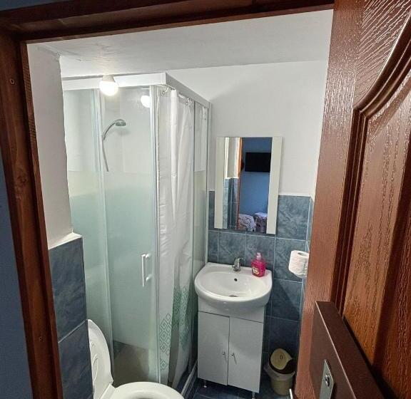 膳宿费 Vila Movilă