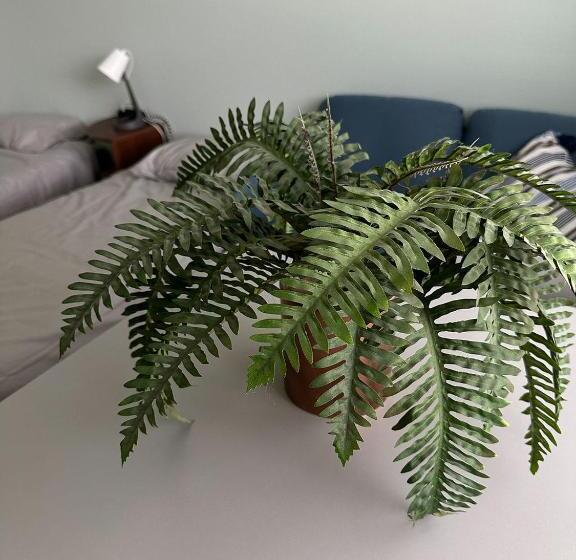 هاستل Lepopaikka Lokinpesä, Majoitus Ja Camping