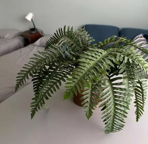 Retkeilymaja Lepopaikka Lokinpesä, Majoitus Ja Camping