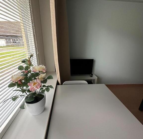 هاستل Lepopaikka Lokinpesä, Majoitus Ja Camping