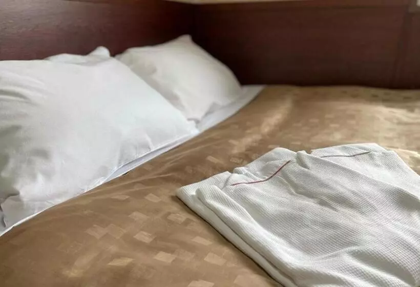 Fuji Park Hotel   Vacation Stay 23854v