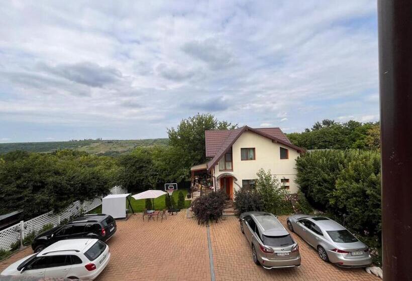 Pensiunea Casa Copou