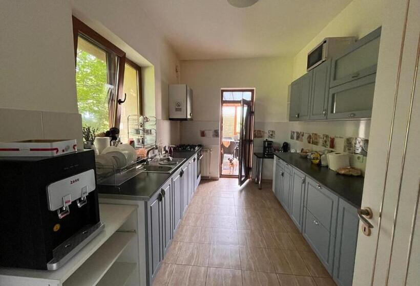 Pensiunea Casa Copou