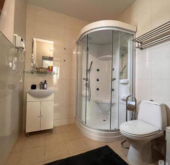 Pensiunea Casa Copou