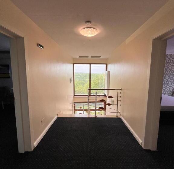 Pensiunea Casa Copou