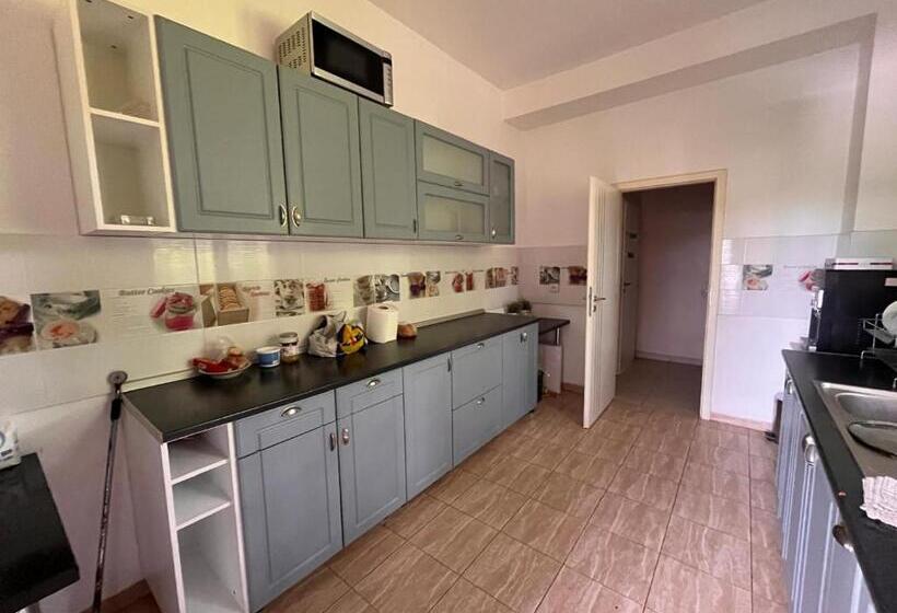 Pensiunea Casa Copou