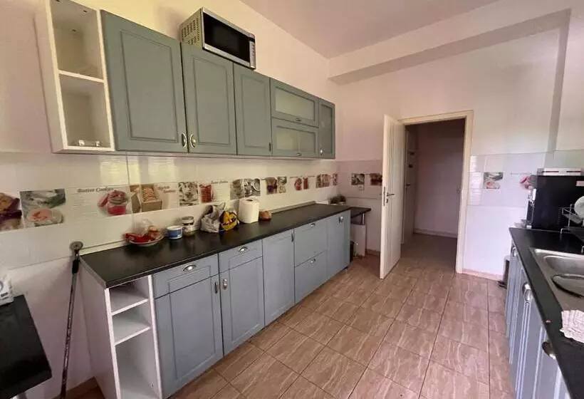 Pensiunea Casa Copou