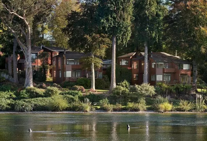 The Retreat