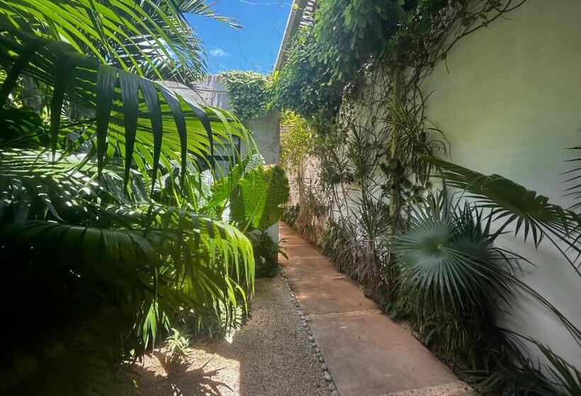 צימר Casa Sirena Oasis En El Centro Histórico