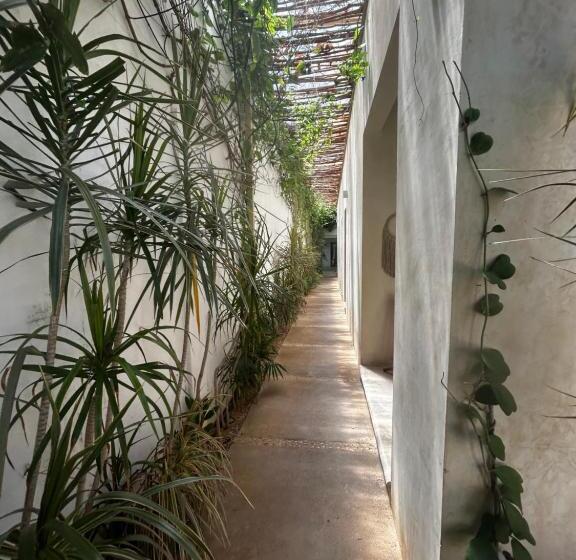 צימר Casa Sirena Oasis En El Centro Histórico