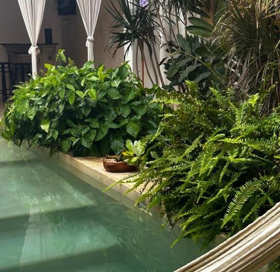 צימר Casa Sirena Oasis En El Centro Histórico