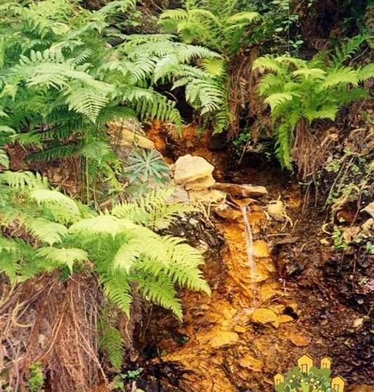 Отель Casa Rural Cruz Pinta Murtas, Granada, Espana