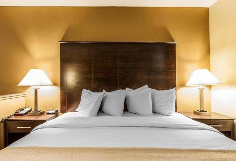 فندق Quality Inn & Suites