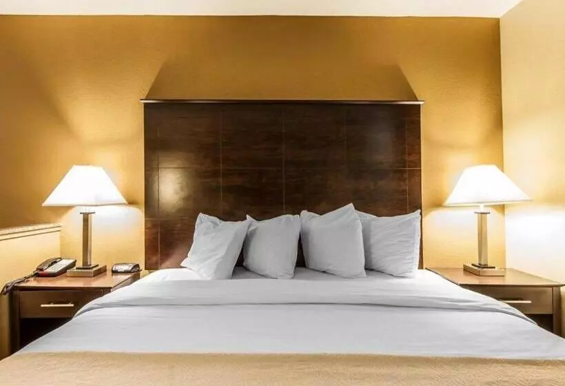 ホテル Quality Inn & Suites