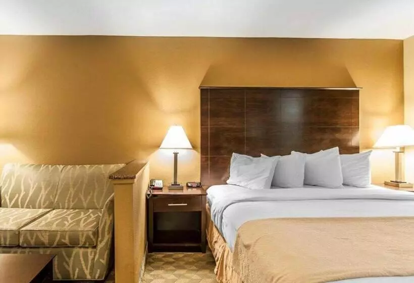 ホテル Quality Inn & Suites