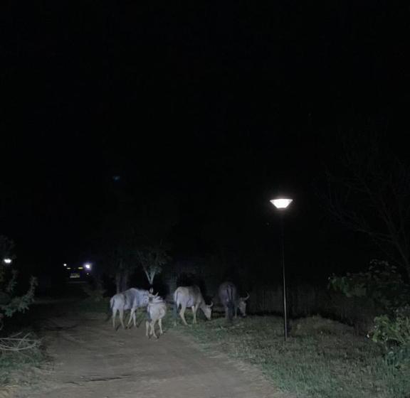 אתר נופש Sasavona Holiday Retreat