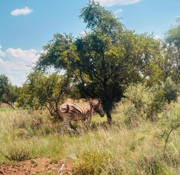 אתר נופש Sasavona Holiday Retreat