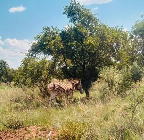 リゾートホテル Sasavona Holiday Retreat