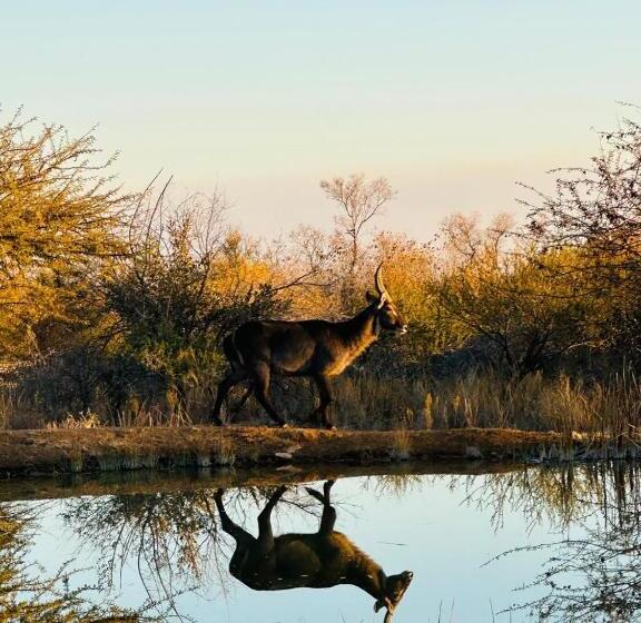 אתר נופש Sasavona Holiday Retreat