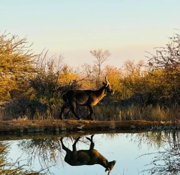 リゾートホテル Sasavona Holiday Retreat