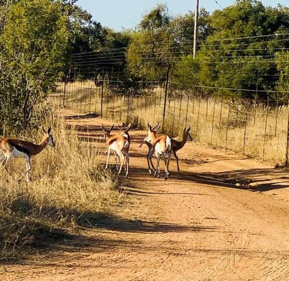 אתר נופש Sasavona Holiday Retreat