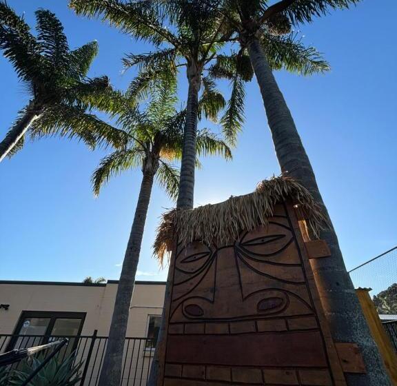 הוסטל Palm Tree Lodge & Backpackers