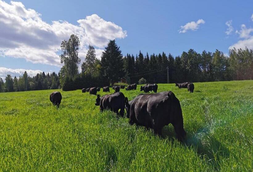 Kivennapa Hotellihuoneet