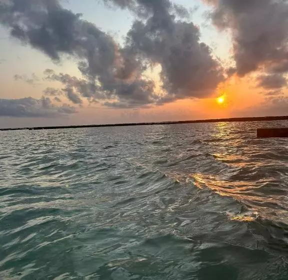 ペンション Hospedagem Da Barra Suites,praia Barra Grande,caminho De Moises E Antunes
