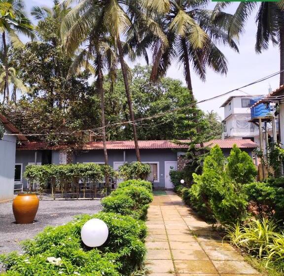 Cămin Jungle By Sturmfrei Morjim