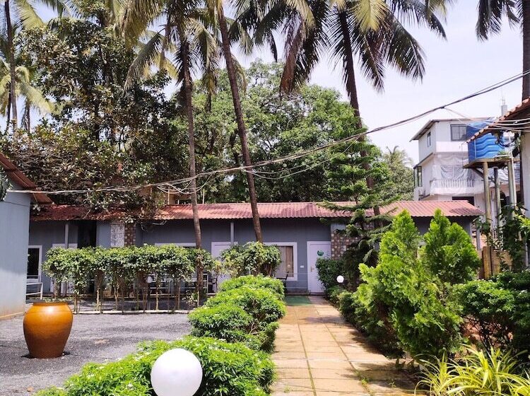 Cămin Jungle By Sturmfrei Morjim