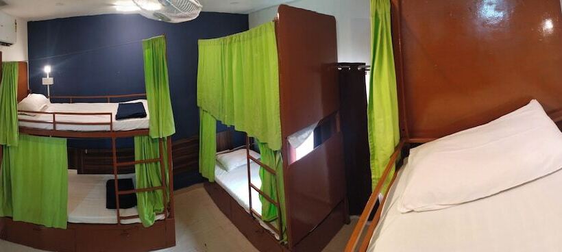 Cămin Jungle By Sturmfrei Morjim