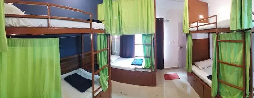 ユースホステル Jungle By Sturmfrei Morjim