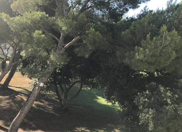 Maeva Clubhotel Saint Raphael