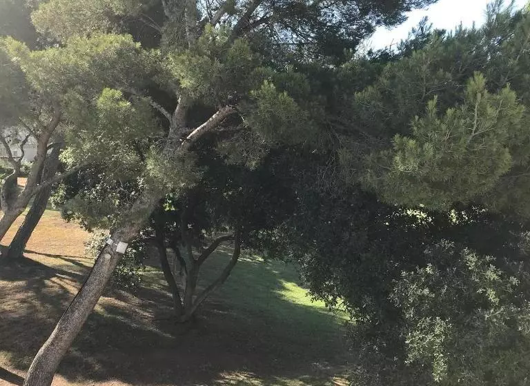 Maeva Clubhotel Saint Raphael