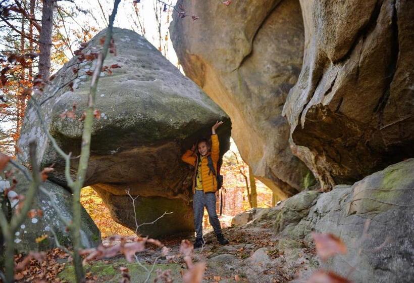 리조트 глемпінг едельвейс