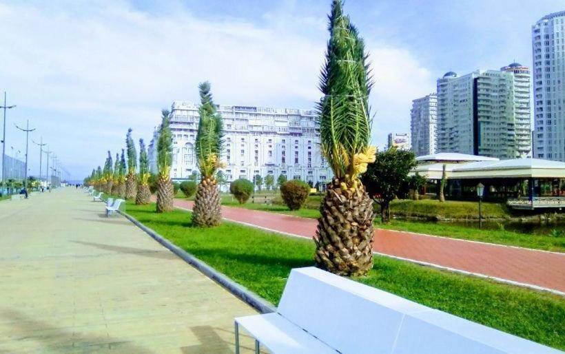 1 комнатная квартира возле моря