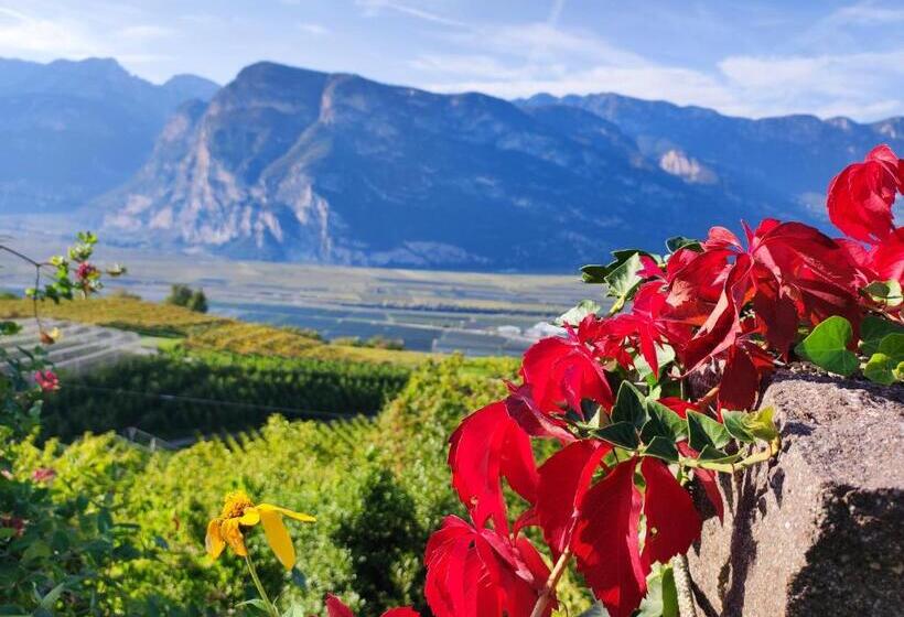 酒店 B&b Klammhof Panorama